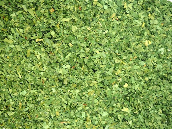 Medvedí cesnak - 100 g