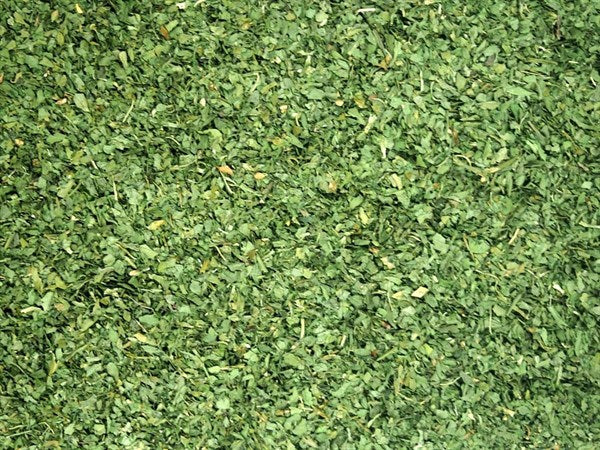 Zelerový list - 100 g