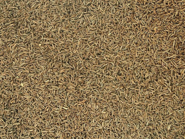 Český bio kmín celý - 100 g