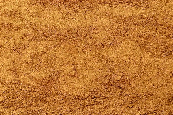 Tekvicové korenie - 100 g