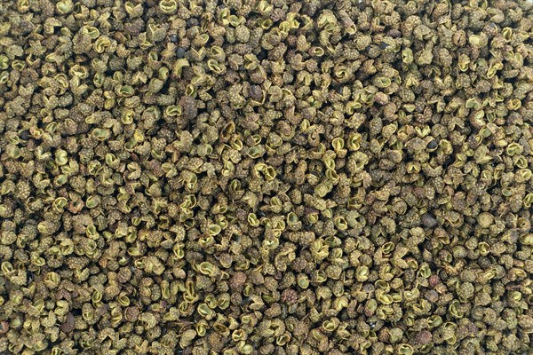 Sečuánske zelené korenie celé - 100 g