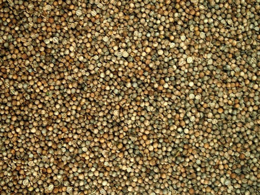 Koriandr celý - 100 g