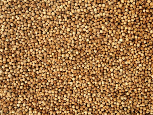 Celý bio koriander - 100 g