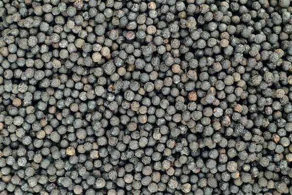 Verbena korenie - 100 g